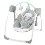 Ingenuity Comfort 2 Go