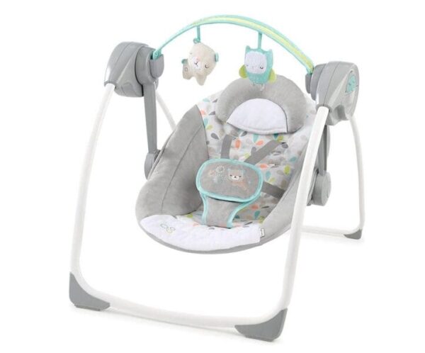 Ingenuity Comfort 2 Go